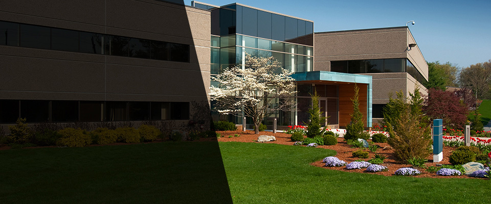 Gold Canyon Landscapers