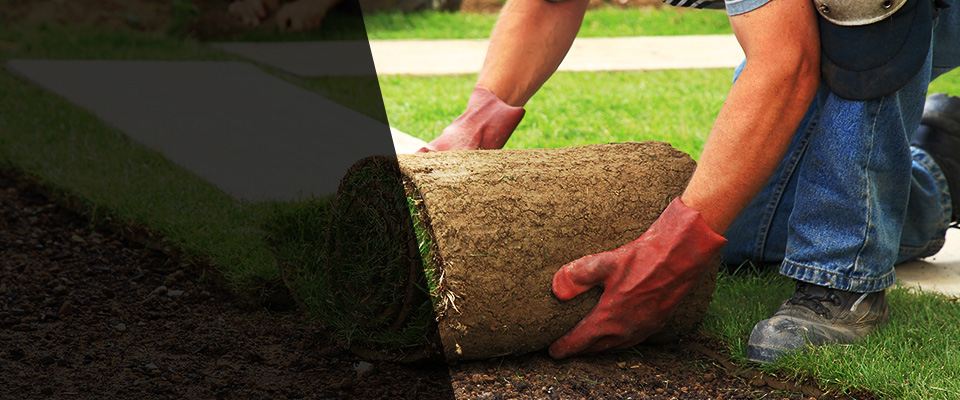 Gold Canyon Landscapers